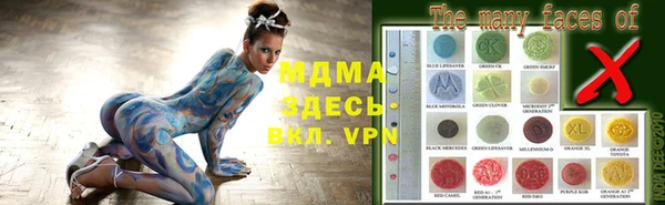 шишки Арсеньев