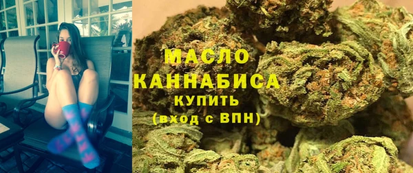 шишки Арсеньев