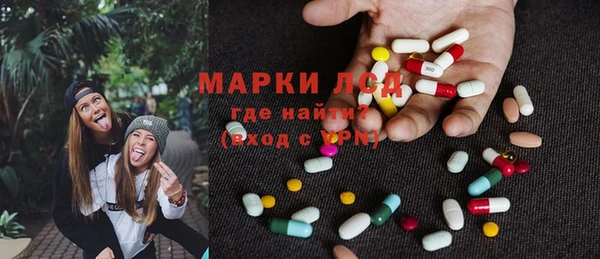 шишки Арсеньев