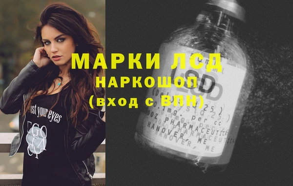 шишки Арсеньев