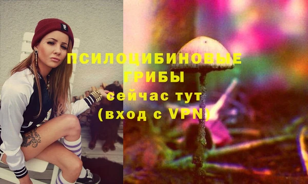 дживик Армянск