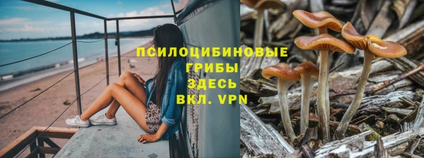 марки lsd Аркадак
