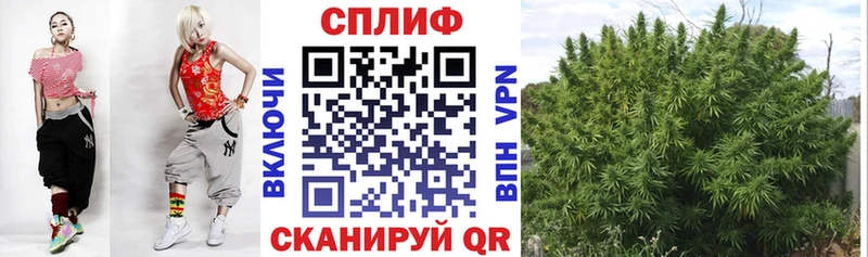 Канабис марихуана Осинники